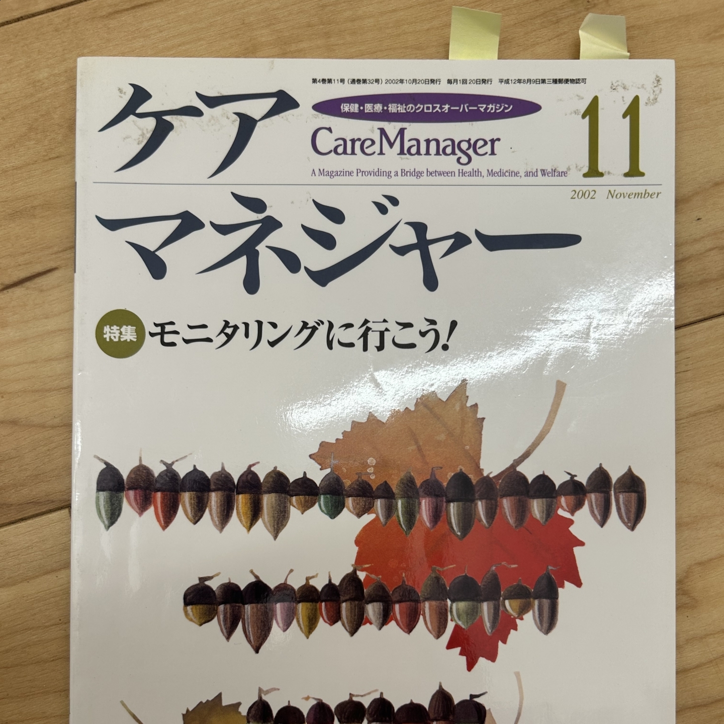 【 １６９２ 】  月刊ケアマネジャー３００号