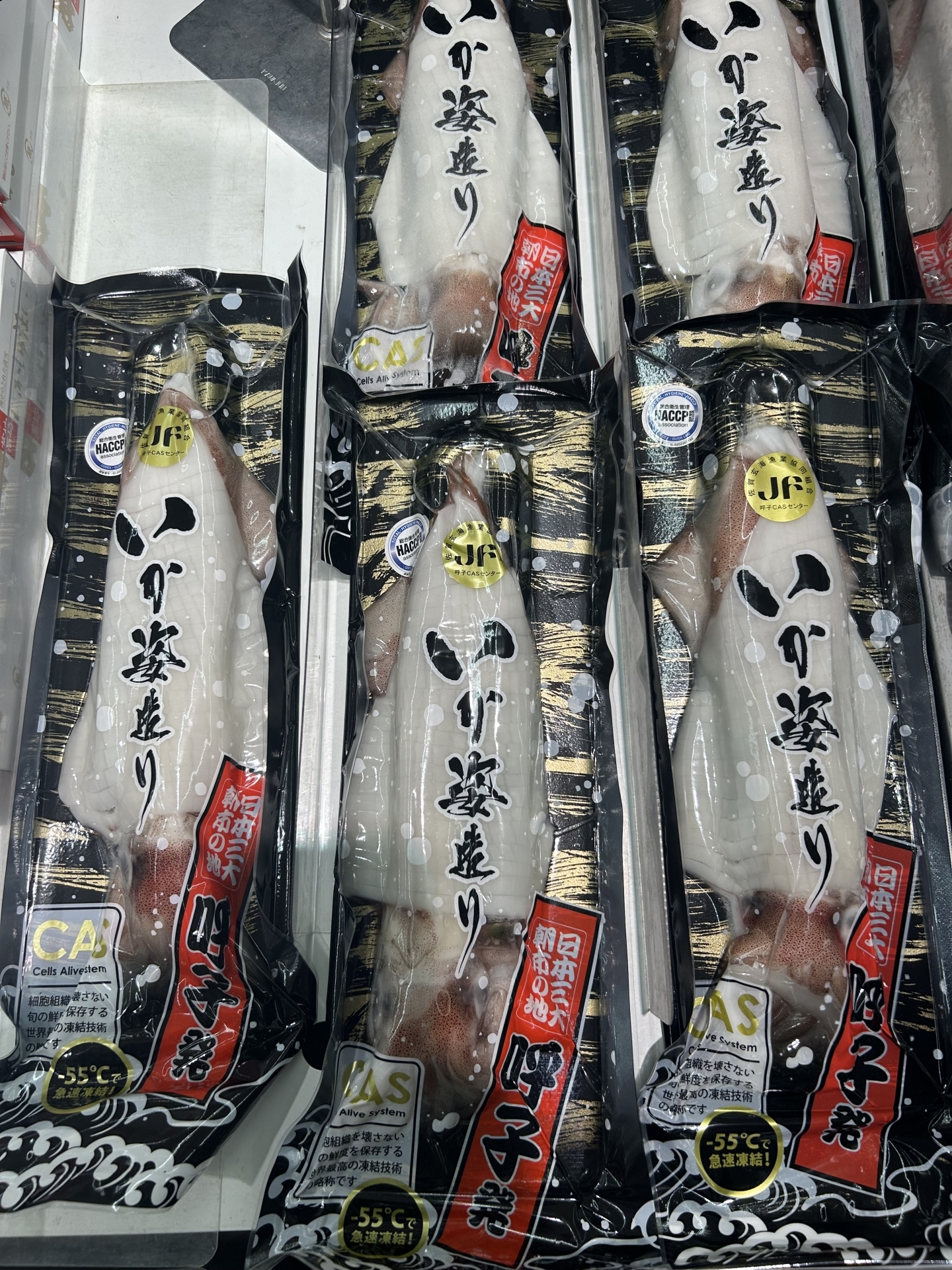 【 １７８９ 】  有名な・・佐賀県は【呼子のイカ】をご存知？？？