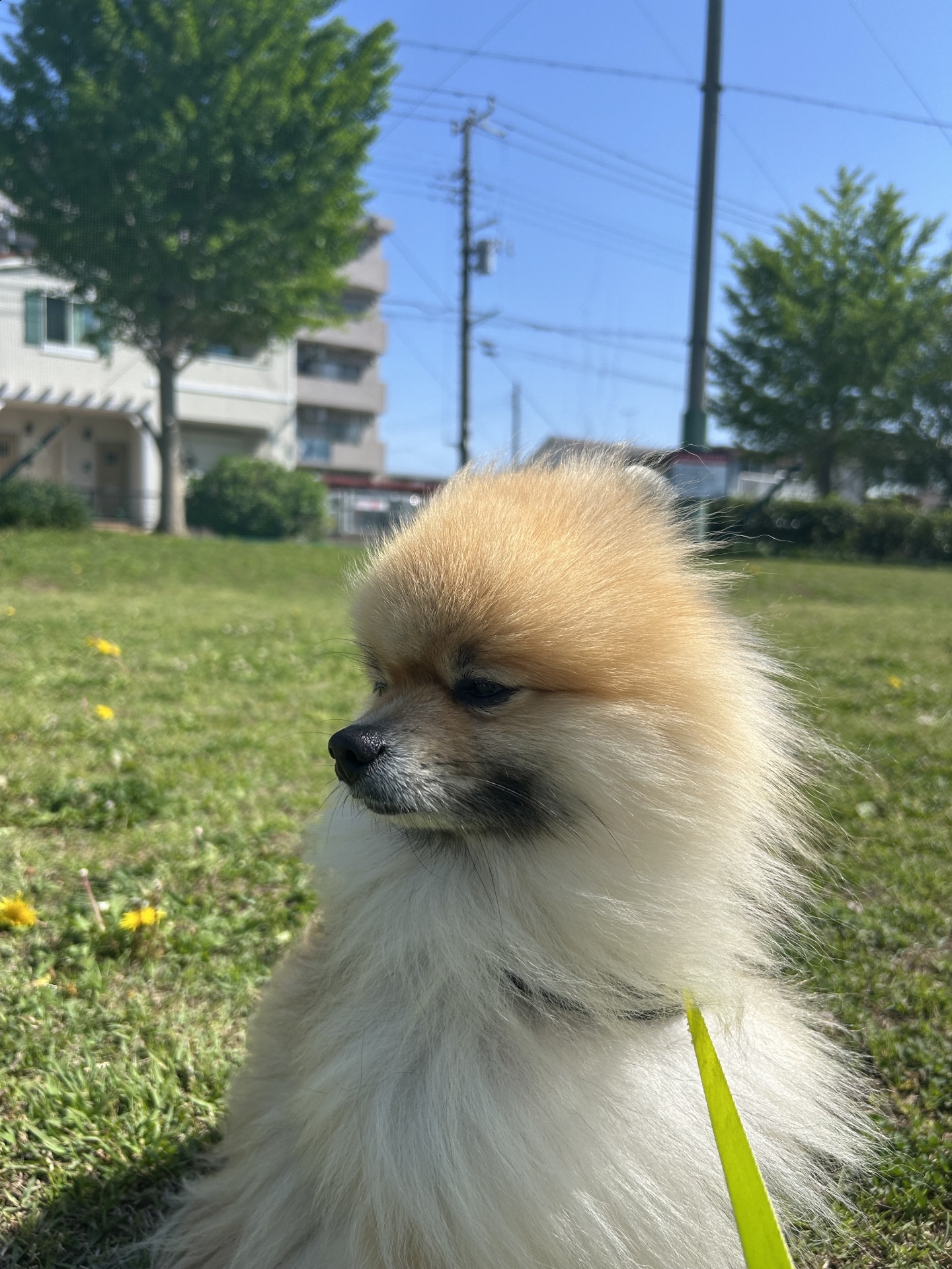 【 １８６０ 】  気持ちの良い季節・・・風が吹きます