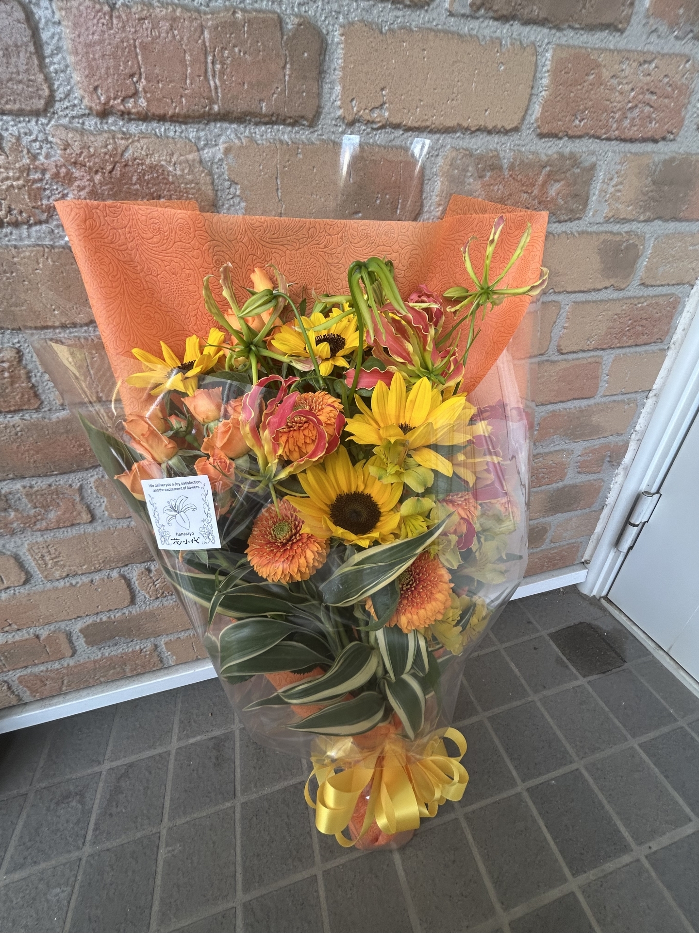 【 １８６７ 】　追いつけない・・・敬意と感謝