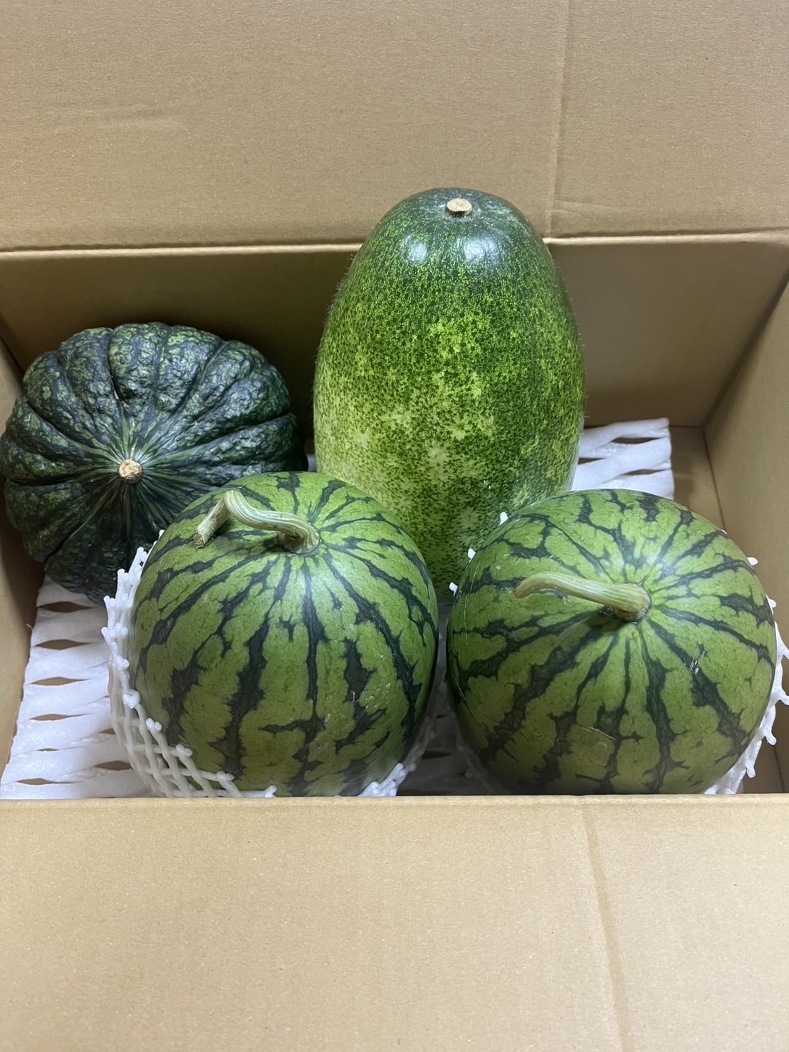 【 １９１５ 】  浜松（静岡県）より「野菜」が届きました