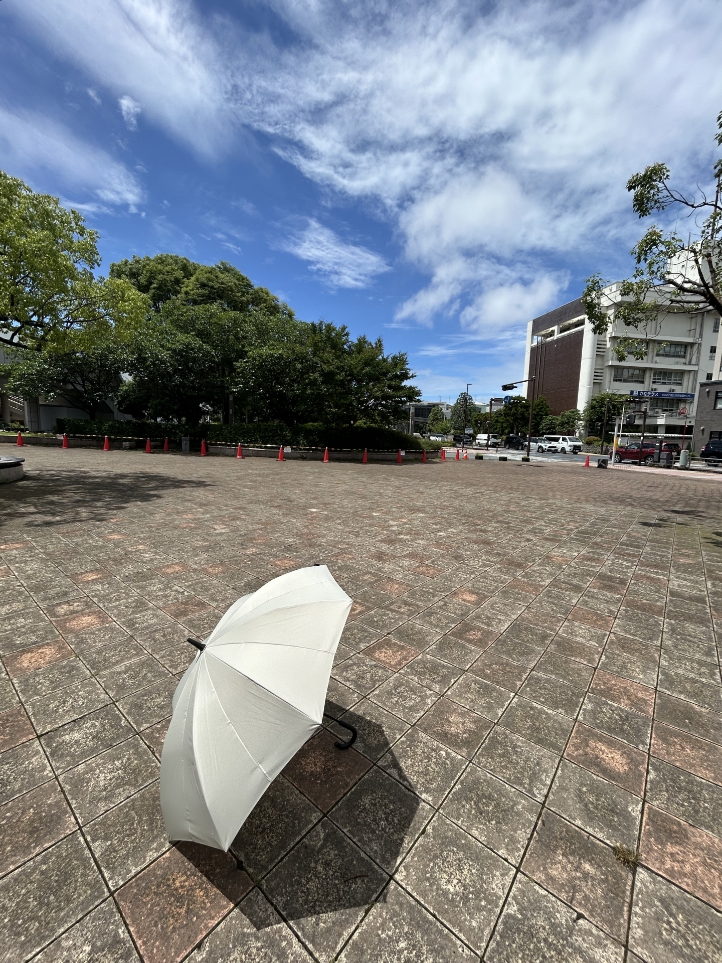 【 １９２２ 】  日傘のお世話になることを決めました・・。