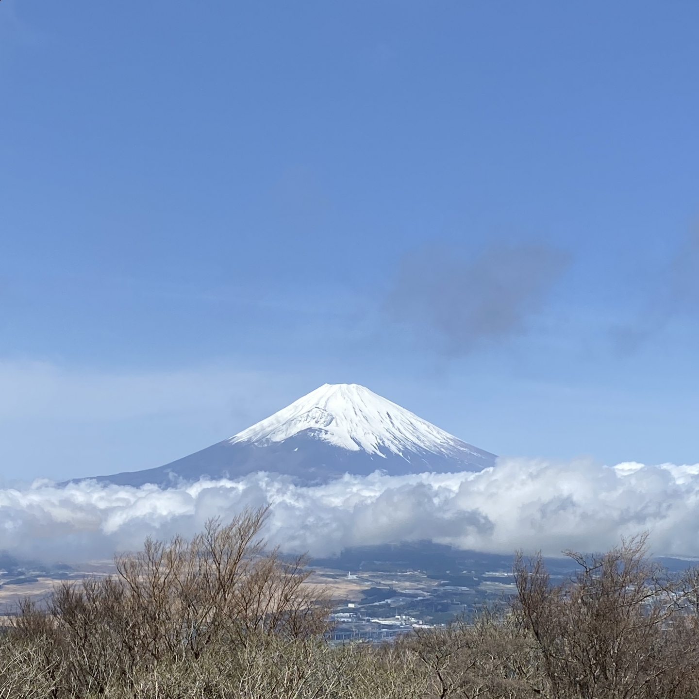 【 １９５９ 】  山の日・・いかがお過ごしでしょうか？