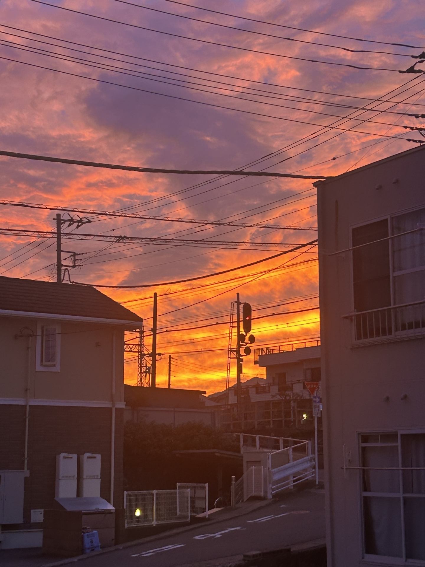 【 １９８６ 】  千差万別でいい。