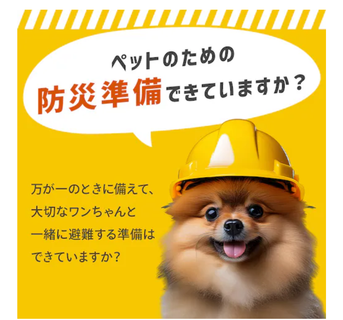 【 ２０５７ 】  防災しよう。