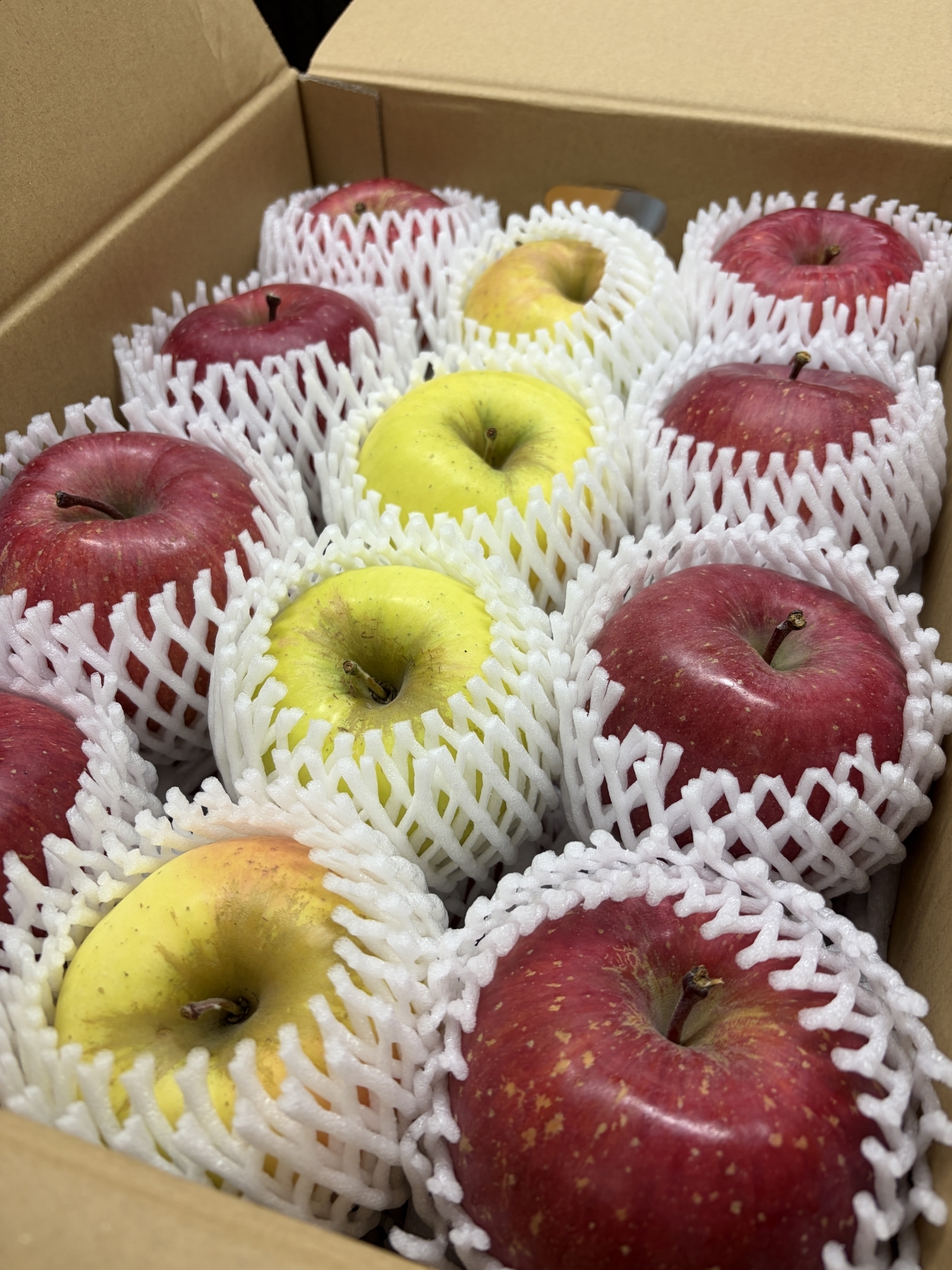 【 ２０９２ 】　リンゴが美味しいことを知る！！！！