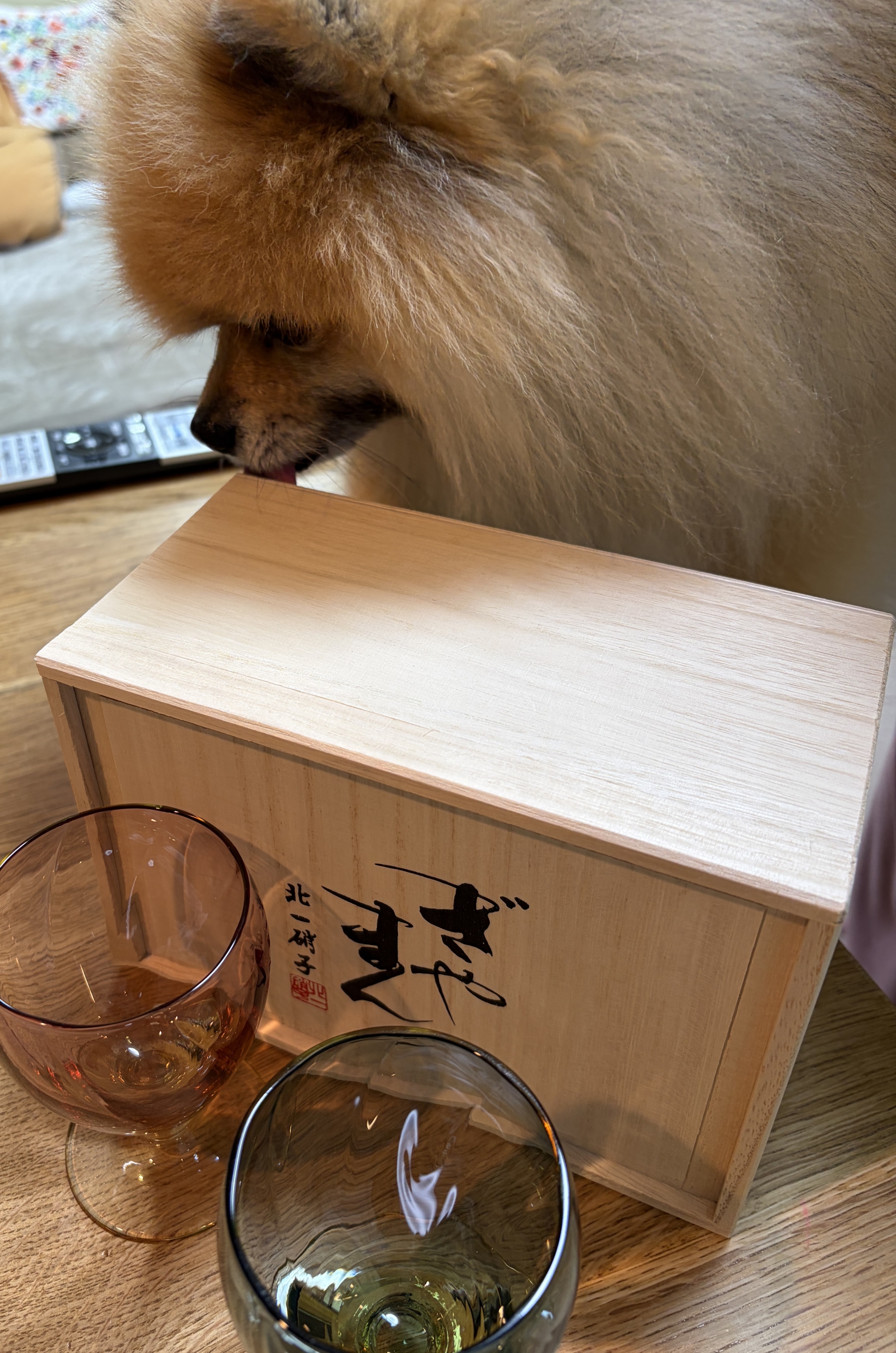 【 ２１０４ 】   正月らしいこと？