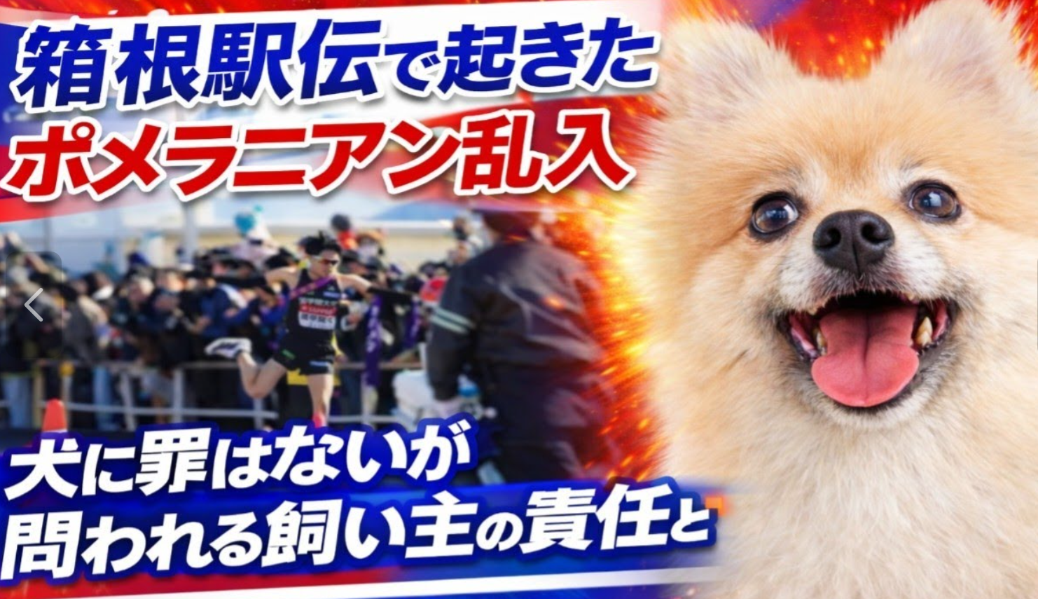 【 2123 】 何を思いましたか???(正月ハプニング)