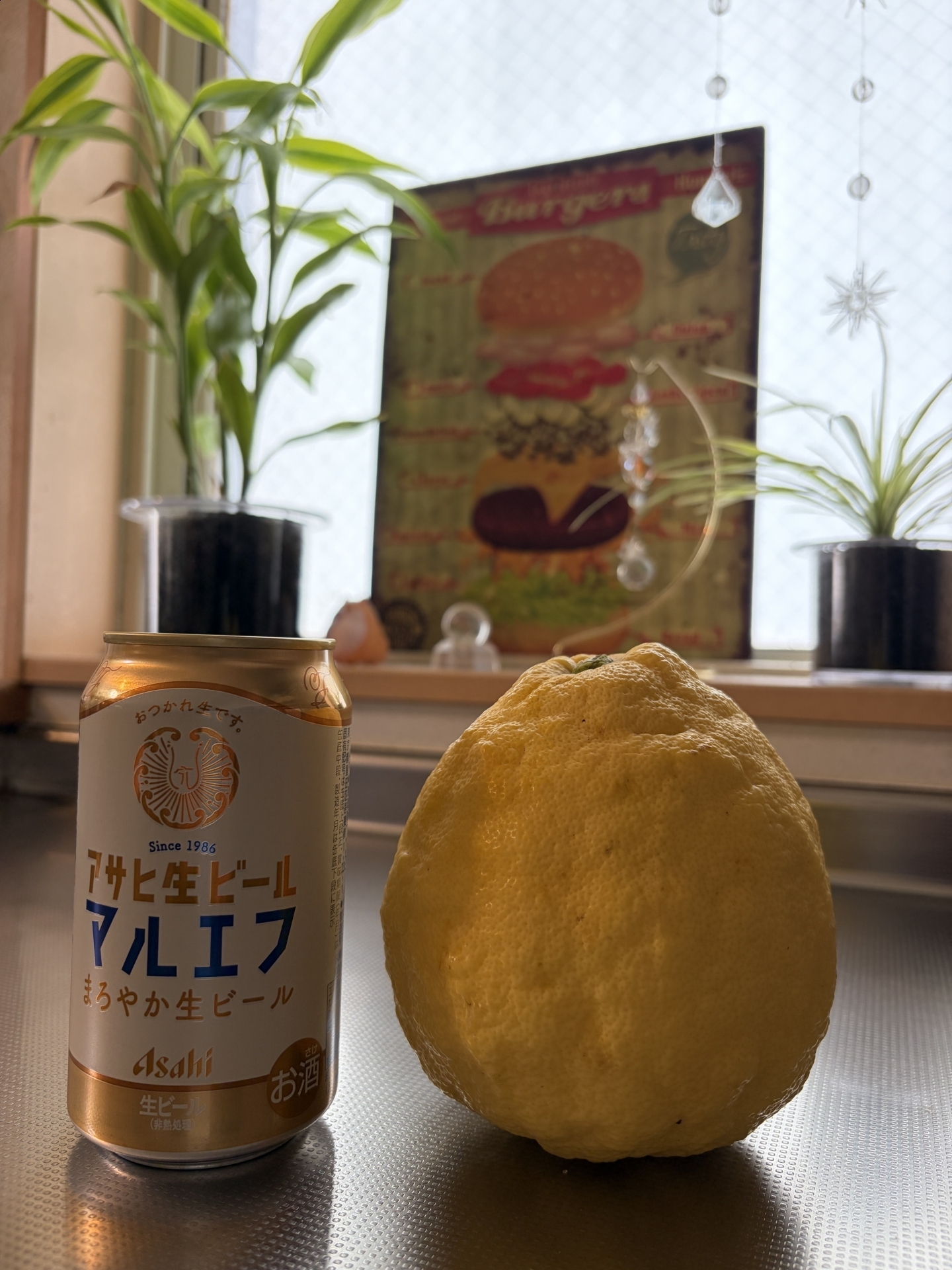 【 ２１５４ 】 ジャンボレモン