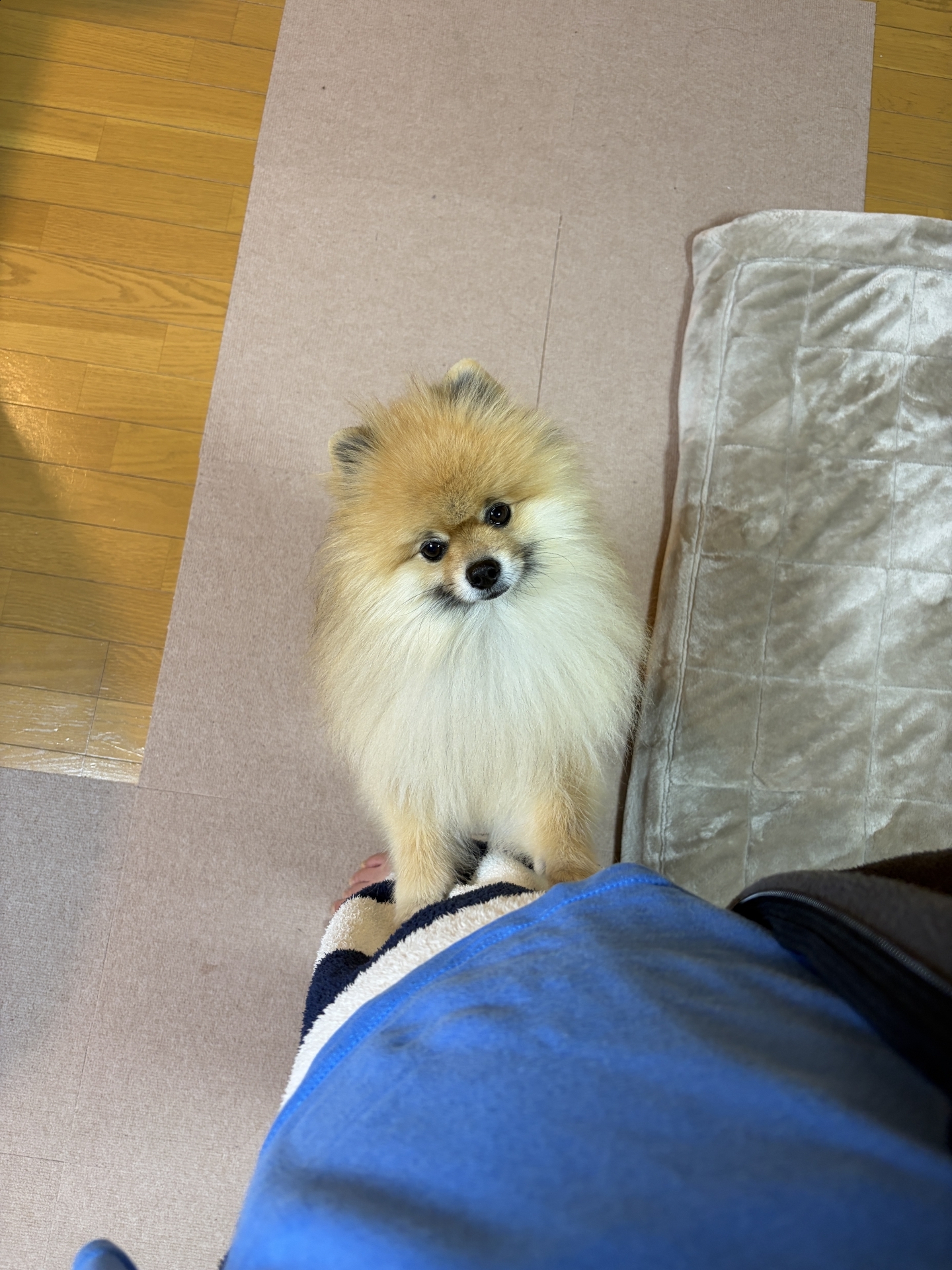 【 ２１６１ 】　腰痛の進捗状況と気遣い