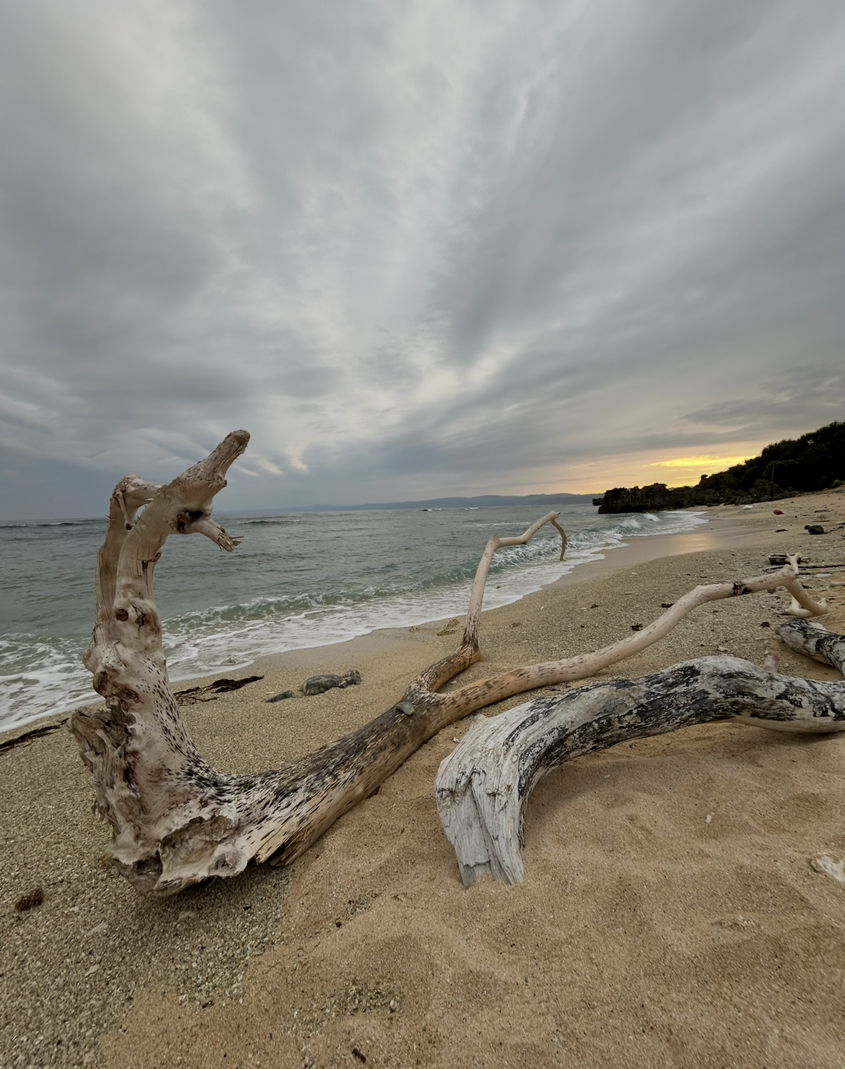 【 ２１６４ 】　2026年度に向かうための時間・・・。