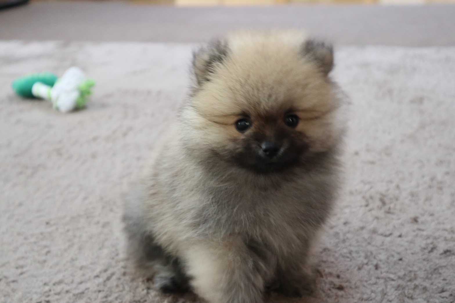 【 ２１７８ 】  記念日×２