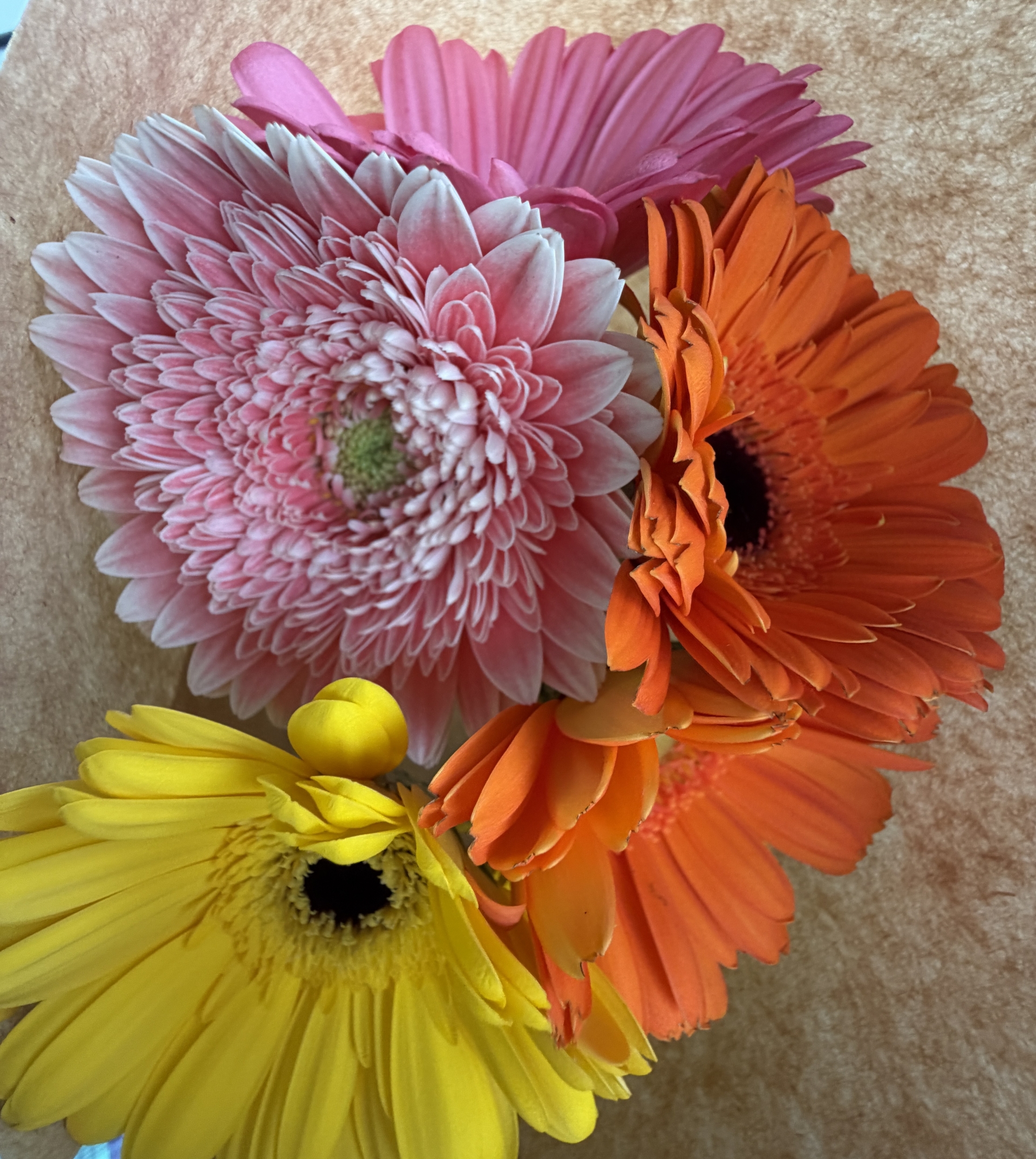 【 ２２２２ 】    お疲れ様でした・・・（感謝）