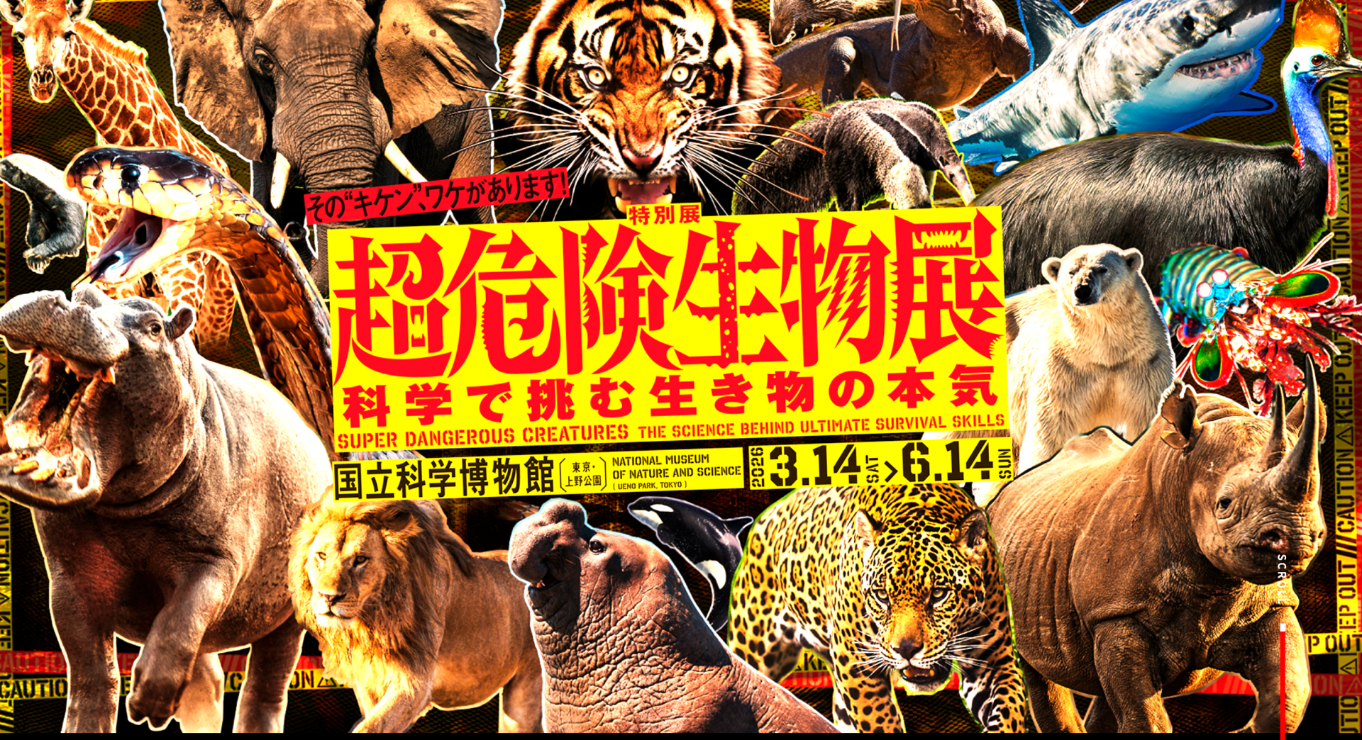 【 ２２２６ 】  いつもと違う体験をする➀・・IN上野駅 界隈