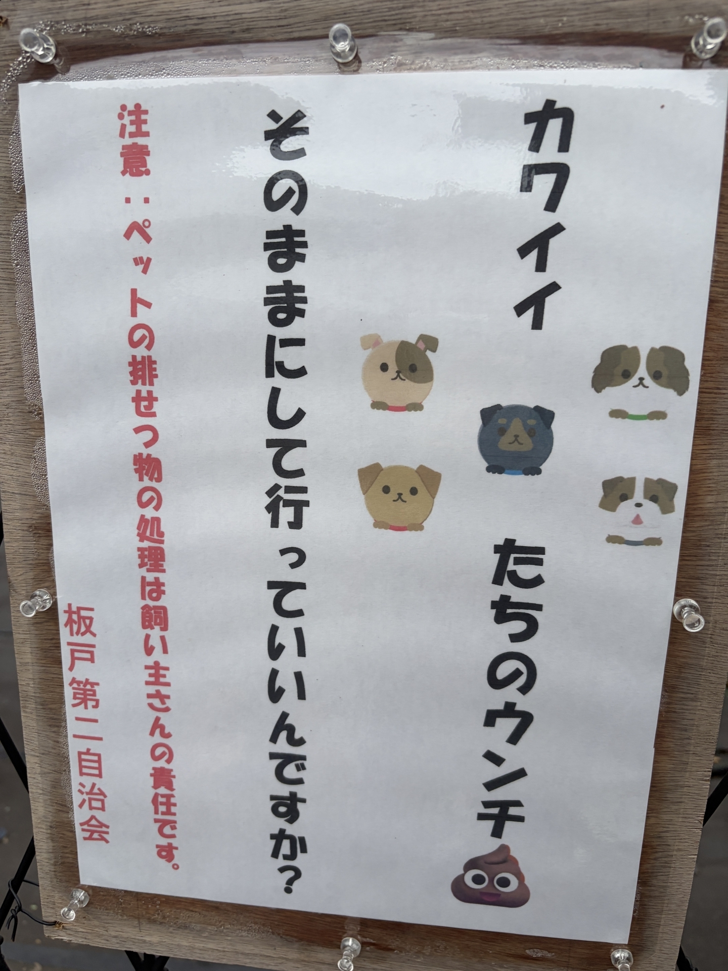 【 ２３６１ 】  犬の世話ができない人がいる事実