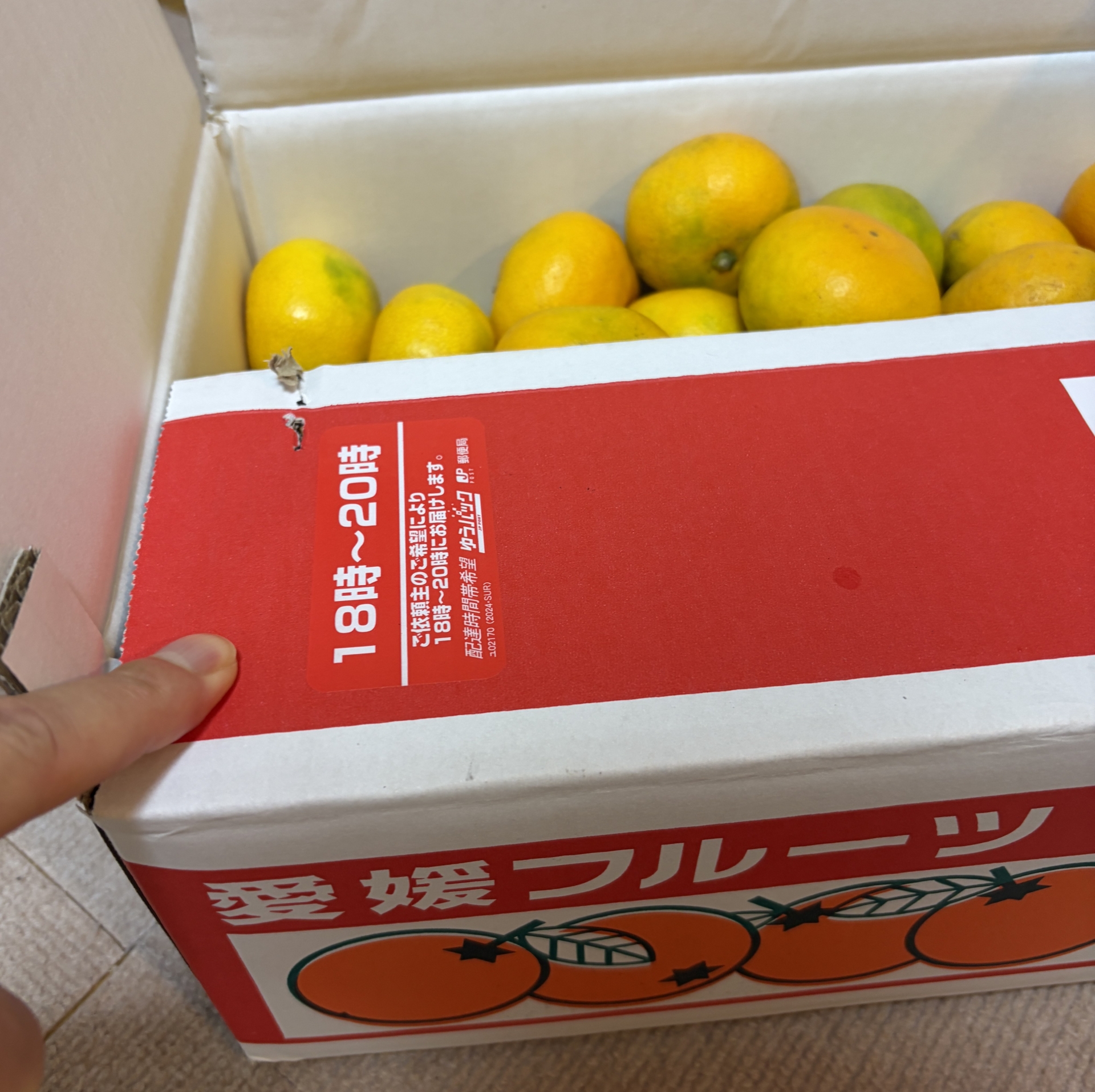 【 ２３８６ 】　ミカンの里から届きました