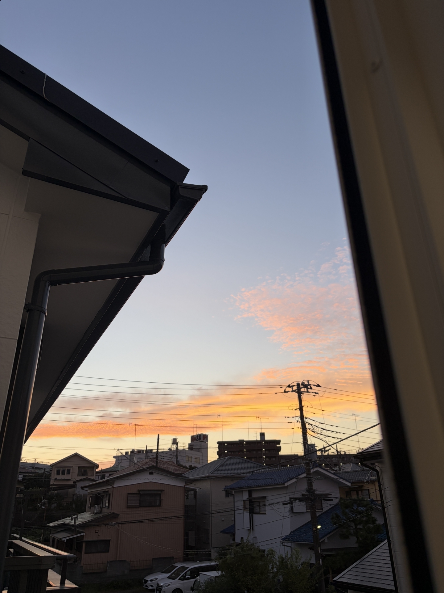 【 ２３８７ 】　朝からシアワセを感じる・・。