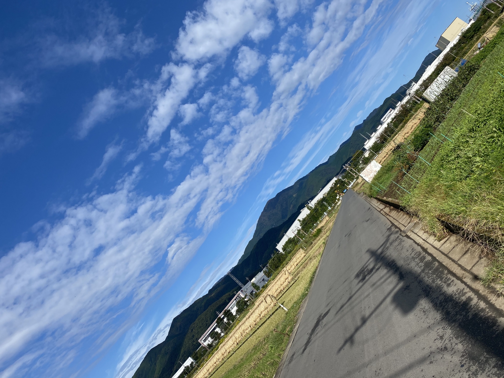 【１４２】 ＧＯ　ＴＯ　伊勢原　（大山観光・登山）