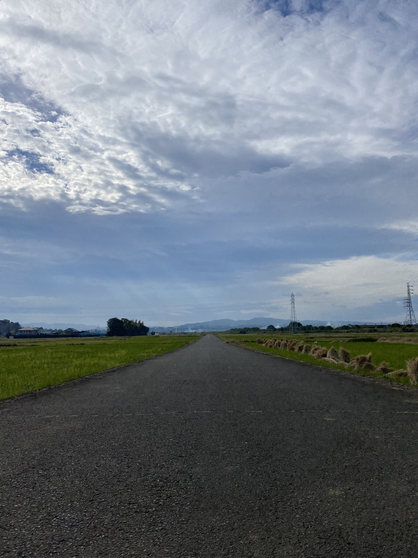 【１６３】　次の仕事までの待機中（？）
