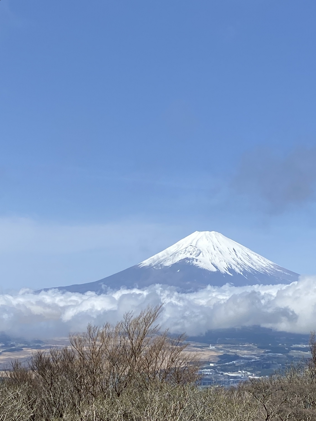 【３０７】　威風堂々・・日本山