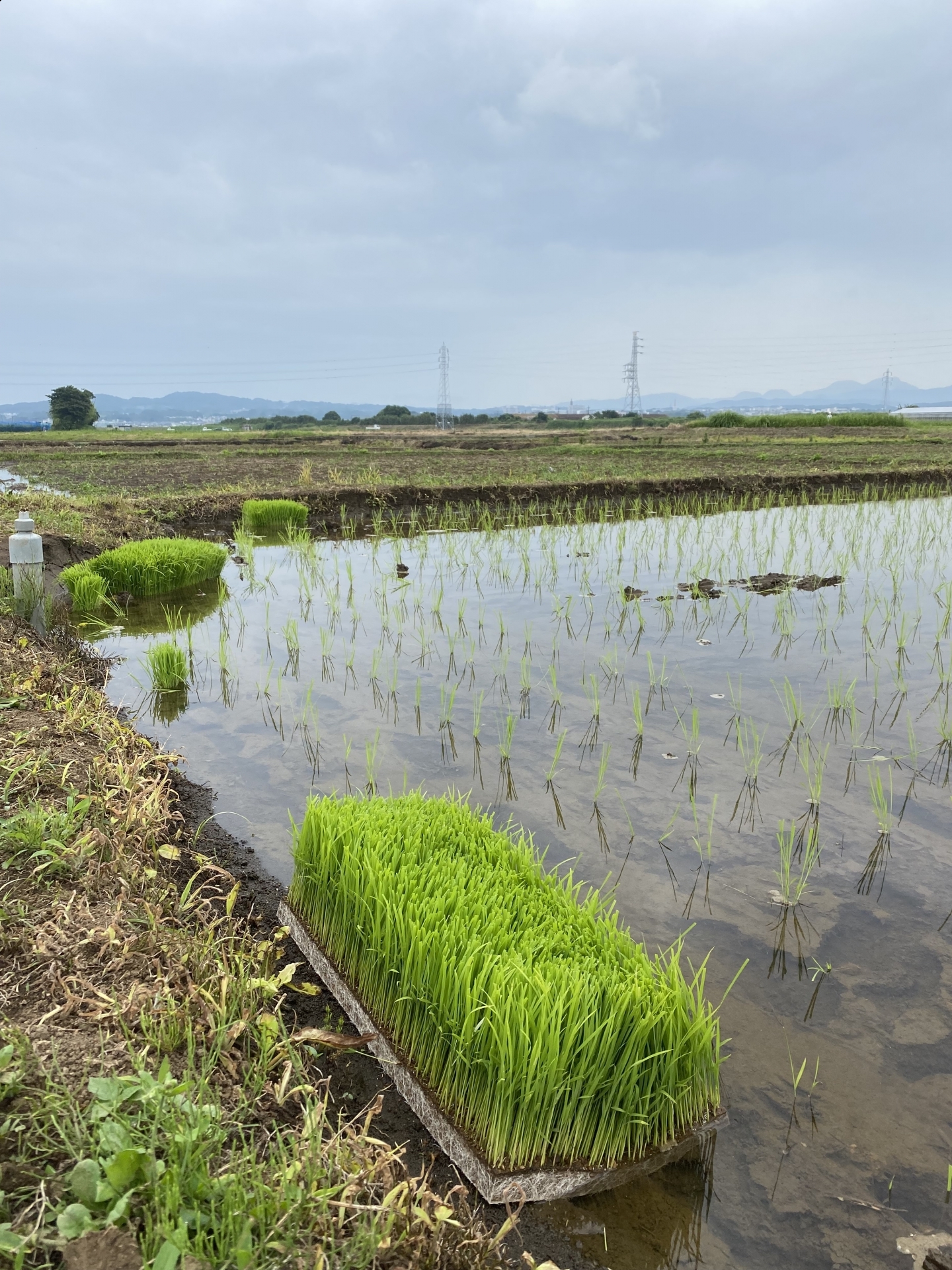 【３７４】  毎年くるもの