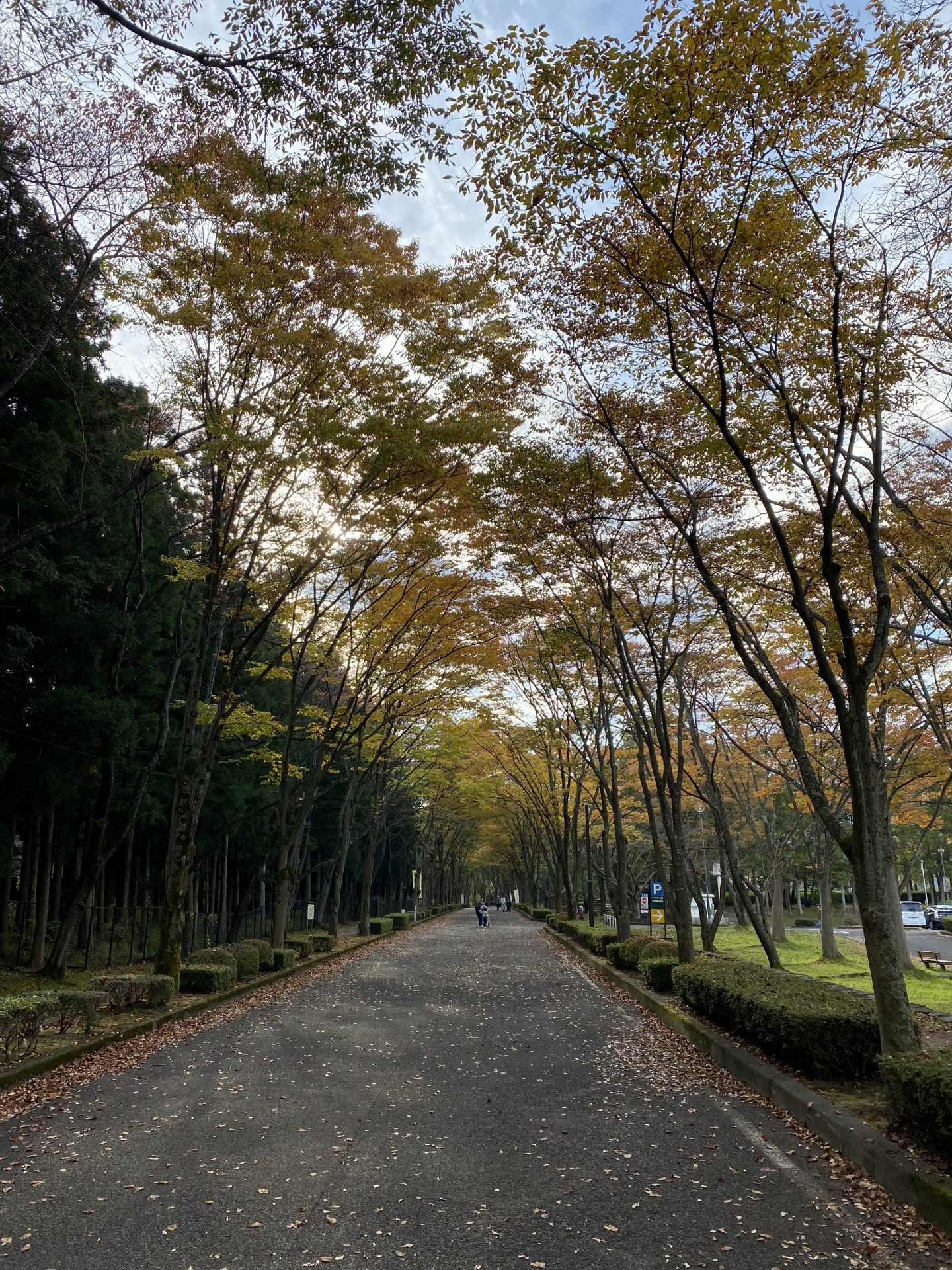 【 ５２３ 】　福島市より②