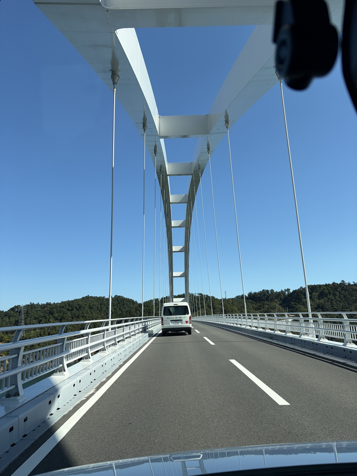 ダミー画像